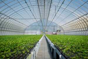 Natural Gas Cogeneration Initiatives Article Thubnail