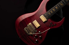Modular High-End Guitars