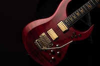 Modular High-End Guitars