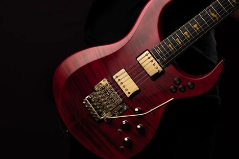 Modular High-End Guitars