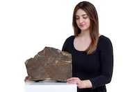 Martian Meteorite Collectibles Image 1