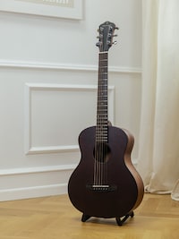 Electronic String Instruments Image 2