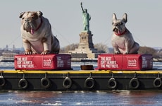 Functionally Focused Dog Campaigns