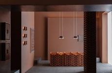 Discarded Shell-Based Lighting