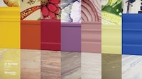 Wild Earth-Inspired Color Collections