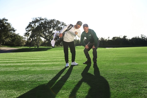 Complimentary Professional Lawn Care