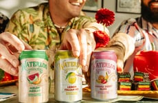 Flavorful Carbonated Water Lines