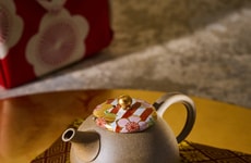 High-End Ceramic Japanese Teapots