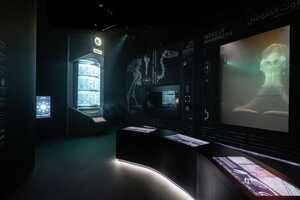 Futuristic Biodiversity Pop-Ups Article Thubnail