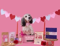 Dog-Friendly Valentine's Gifts Image 3