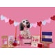 Dog-Friendly Valentine's Gifts Image 3
