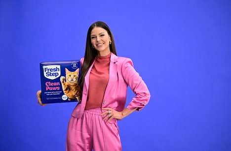 Adoptable Cat App Takeovers