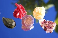Crystal Seaweed Candies Image 3