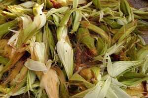 Waste-Made Leather Materials Article Thubnail