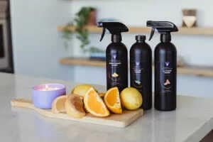 Non-Toxic Cleaning Products Article Thubnail