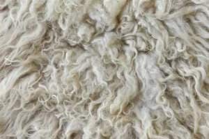 Wool-Based Packaging Solutions Article Thubnail
