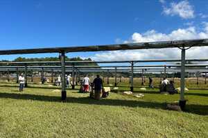 Farm-Based Solar Projects Article Thubnail