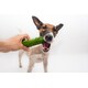 Plant-Based Dog Diets Image 1