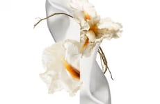 Premium Floral Fragrances