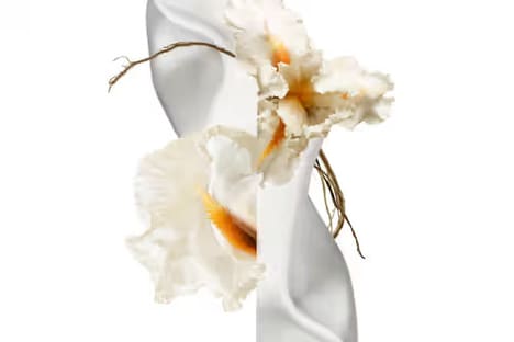 Premium Floral Fragrances