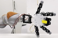 Reversible Robotic Hands