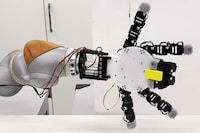 Reversible Robotic Hands