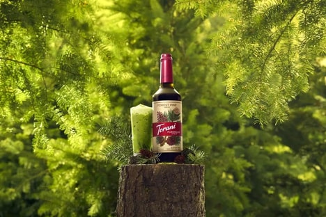Earthy Pine Syrups