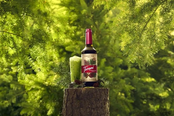 Earthy Pine Syrups