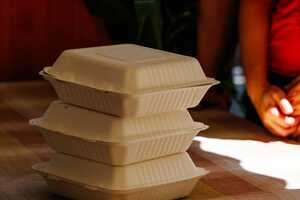 Sustainable Takeout Packagings Article Thubnail