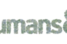 Human-Centric AI Tools