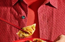 Asian-Inspired Protein Dumplings