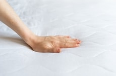 Fungal Foam Solutions