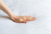 Fungal Foam Solutions Image 1