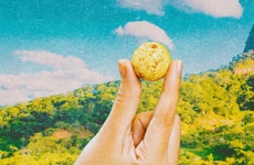 Twice-Baked Cheese Bites