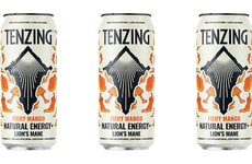 Mushroom-Enhanced Energy Drinks