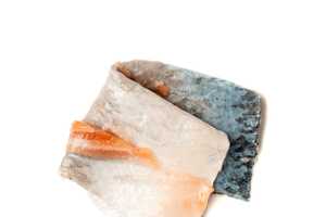 Fish Skin-Derived Biofilms Article Thubnail