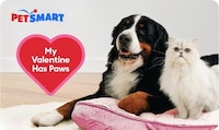 Valentine's Day Pet Activations