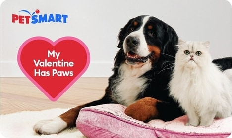 Valentine's Day Pet Activations