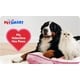 Valentine's Day Pet Activations Image 1