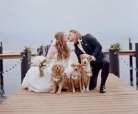 Animal Welfare Group Grants Image 2