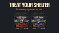 Digital Dog Shelter Campaigns