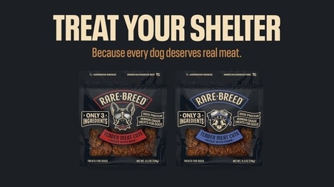Digital Dog Shelter Campaigns