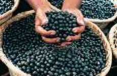 Detoxifying Fruit
