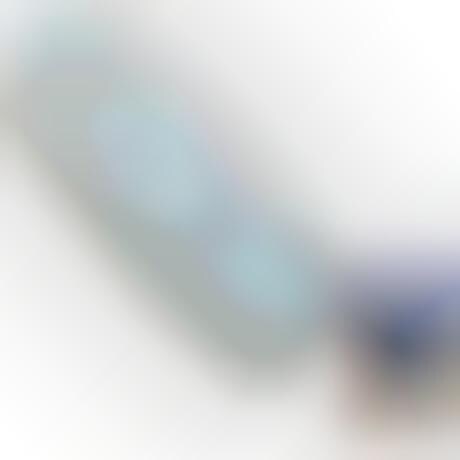 Stun Gun Cellphone