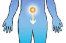 Prostaderm Belly Button Patch