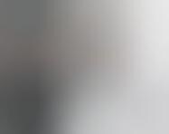 Museums in your Pocket