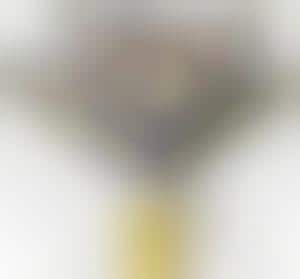 Beef Jerky Bouquets (Bizarre)