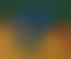 Tiny Sumo Game a Big Hit