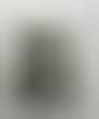 Zen Stone MP3 Player