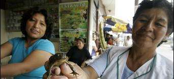 Frogs